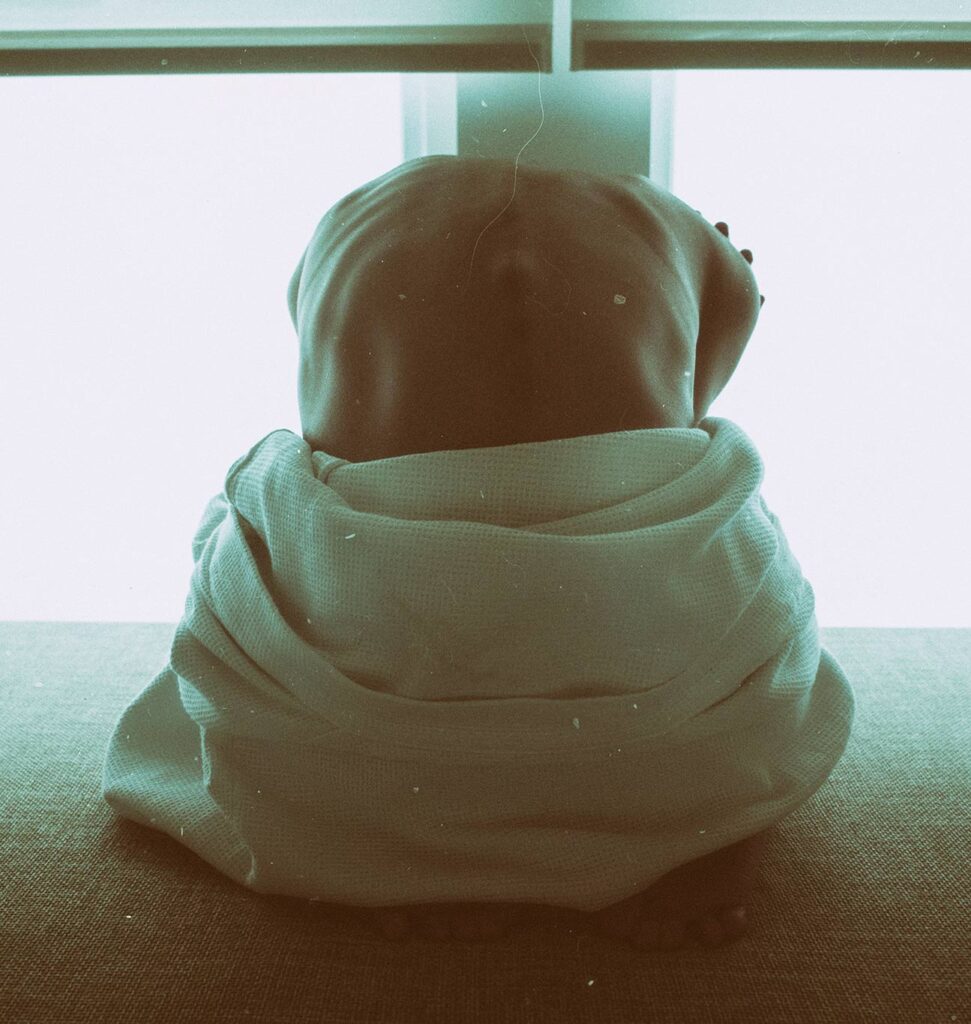 Blog 2